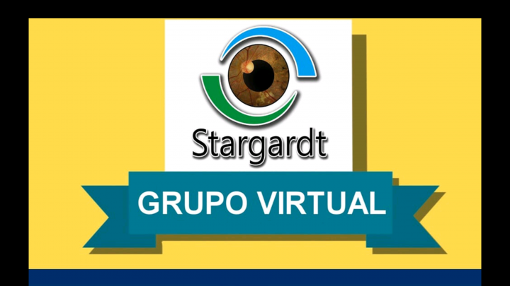 Vídeos Grupo Virtual Stargardt